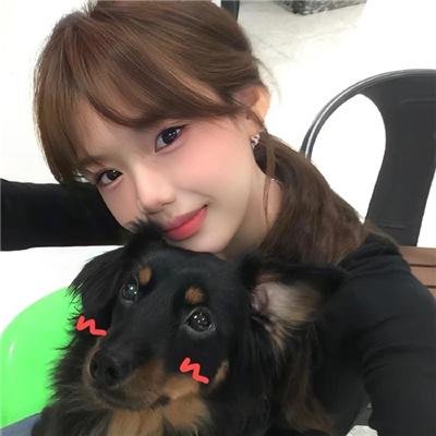 警察世家第十四季